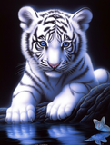 Tigre 5d Diy Kits Broderie Diamant Diamond Painting MJ1265