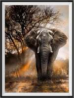 Éléphant 5D Kit Broderie Diamants/Diamond Painting VM1002