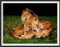 Lion 5d Diy Kits Broderie Diamant Diamond Painting DS32837878