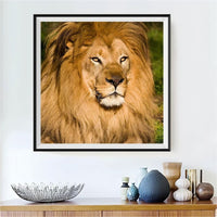 Lion 5d Diy Kits Broderie Diamant Diamond Painting DS7866667