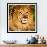 Lion 5d Diy Kits Broderie Diamant Diamond Painting DS7866667