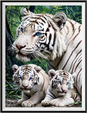 Tigre - 5d Diy Kits Broderie Diamant Diamond Painting FL4444