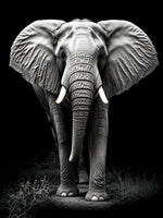 Éléphant - 5D Kit Broderie Diamants Diamond Painting FL4447