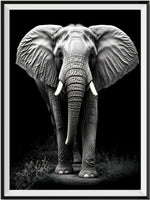 Éléphant - 5D Kit Broderie Diamants Diamond Painting FL4447