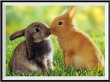 Lapin Kit Broderie Diamants/Diamond Painting NA0221