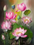 Lotus 5D Kit Broderie Diamant Diamond Painting MJ2645