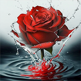 Roses 5d Diy Kits Broderie Diamant Diamond Painting MJ2657