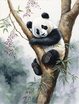Panda 5d Diy Kits Broderie Diamant Diamond Painting MJ8081