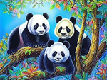 Panda 5d Diy Kits Broderie Diamant Diamond Painting MJ8101