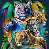 Animal 5d Diy Kits Broderie Diamant Diamond Painting MJ8979