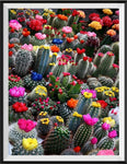 Cactus 5D Diy Kit Broderie Diamant Diamond Painting NA10383