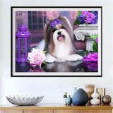 Chien 5D Diy Kits Broderie Diamant Diamond Painting SS1506019031