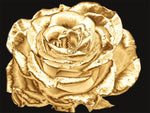 Roses 5d Diy Kits Broderie Diamant Diamond Painting DS174330034