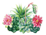 Cactus 5d Diy Kits Broderie Diamant Diamond Painting DS211594483