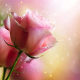 Roses 5d Diy Kits Broderie Diamant Diamond Painting DS23385734
