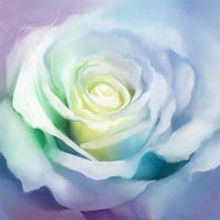 Roses 5d Diy Kits Broderie Diamant Diamond Painting DS52656977