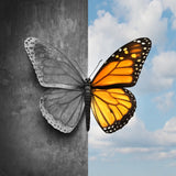 Papillon 5d Diy Kits Broderie Diamant Diamond Painting DS90740286