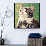 Chat 5d Diy Kits Broderie Diamant Diamond Painting MJ1044