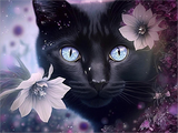 Chat 5d Diy Kits Broderie Diamant Diamond Painting MJ1047