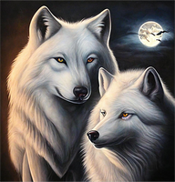 Loup 5d Diy Kits Broderie Diamant Diamond Painting MJ1396
