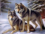 Loup 5d Diy Kits Broderie Diamant Diamond Painting MJ1487