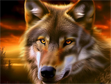 Loup 5d Diy Kits Broderie Diamant Diamond Painting MJ1489