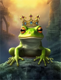 Grenouille 5d Diy Kits Broderie Diamant Diamond Painting MJ1921