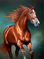 Cheval 5D Kit Broderie Diamant Diamond Painting MJ9381