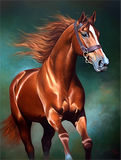 Cheval 5D Kit Broderie Diamant Diamond Painting MJ9381