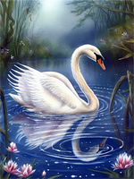 Cygne 5d Diy Kits Broderie Diamant Diamond Painting MJ9883